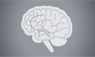 Brain icon showing dopamine pathway